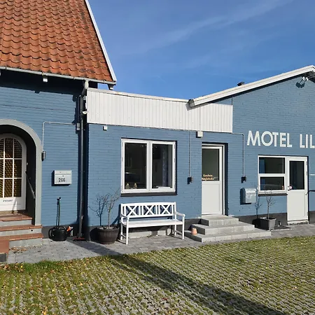 Lillebaelt Hotel